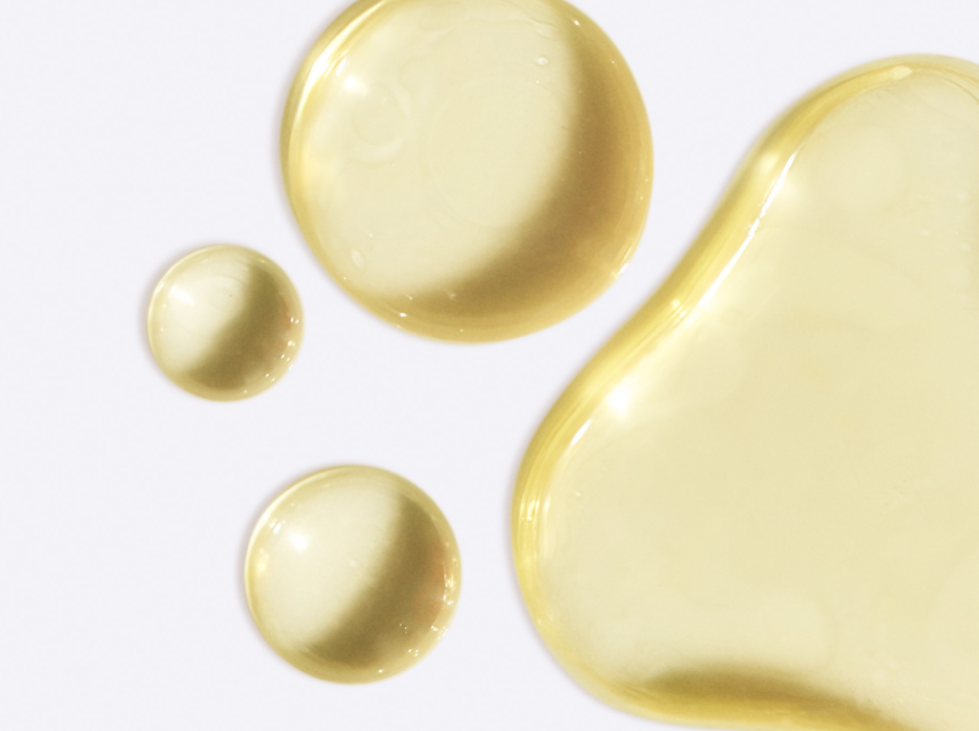 A Deep Dive Into Algal Oil vs. Fish Oil