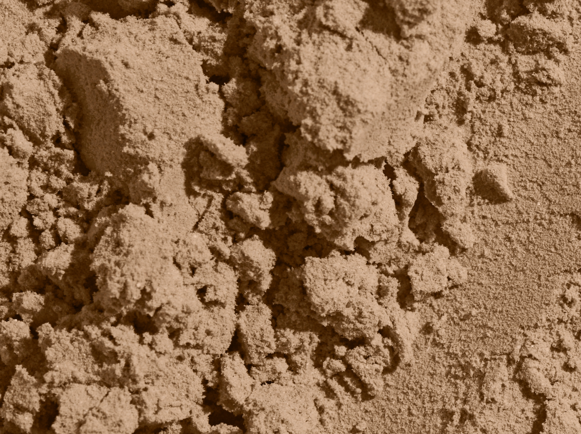Everything You Need to Know About Heavy Metals in Protein Powder & Ritual’s Approach To Safety