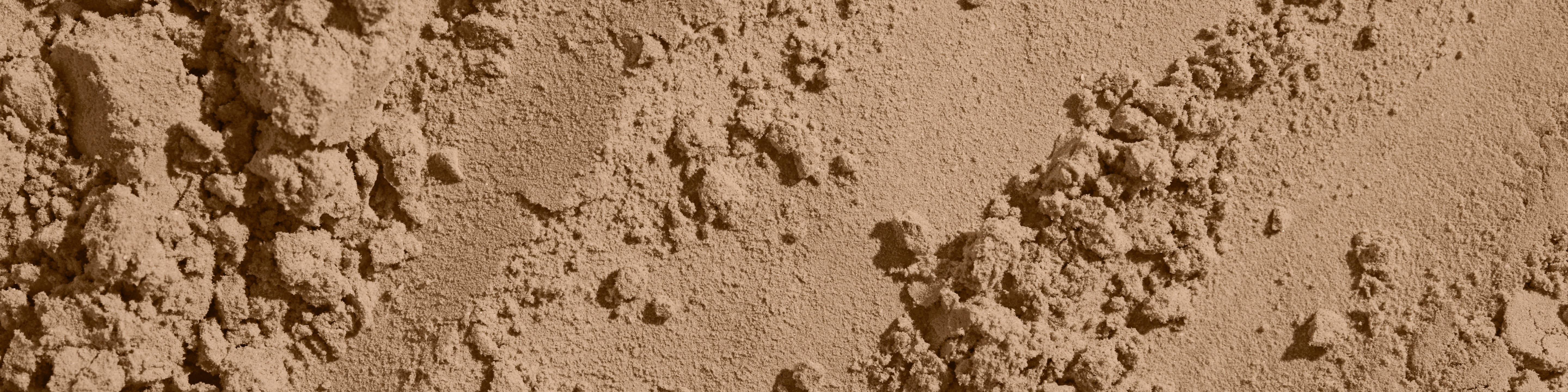 Everything You Need to Know About Heavy Metals in Protein Powder & Ritual’s Approach To Safety