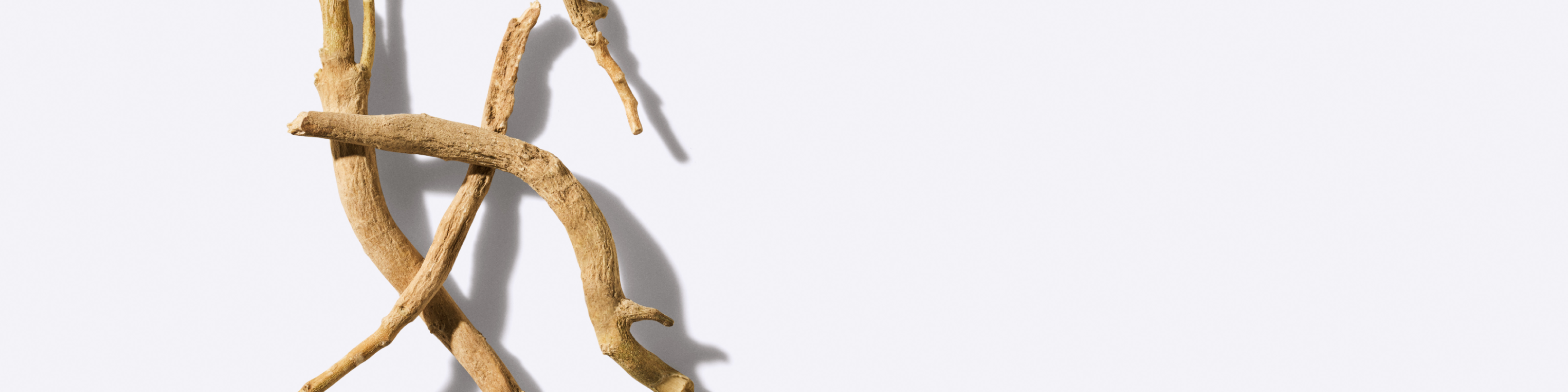 Master the Daily Juggle of Stress with Ashwagandha*