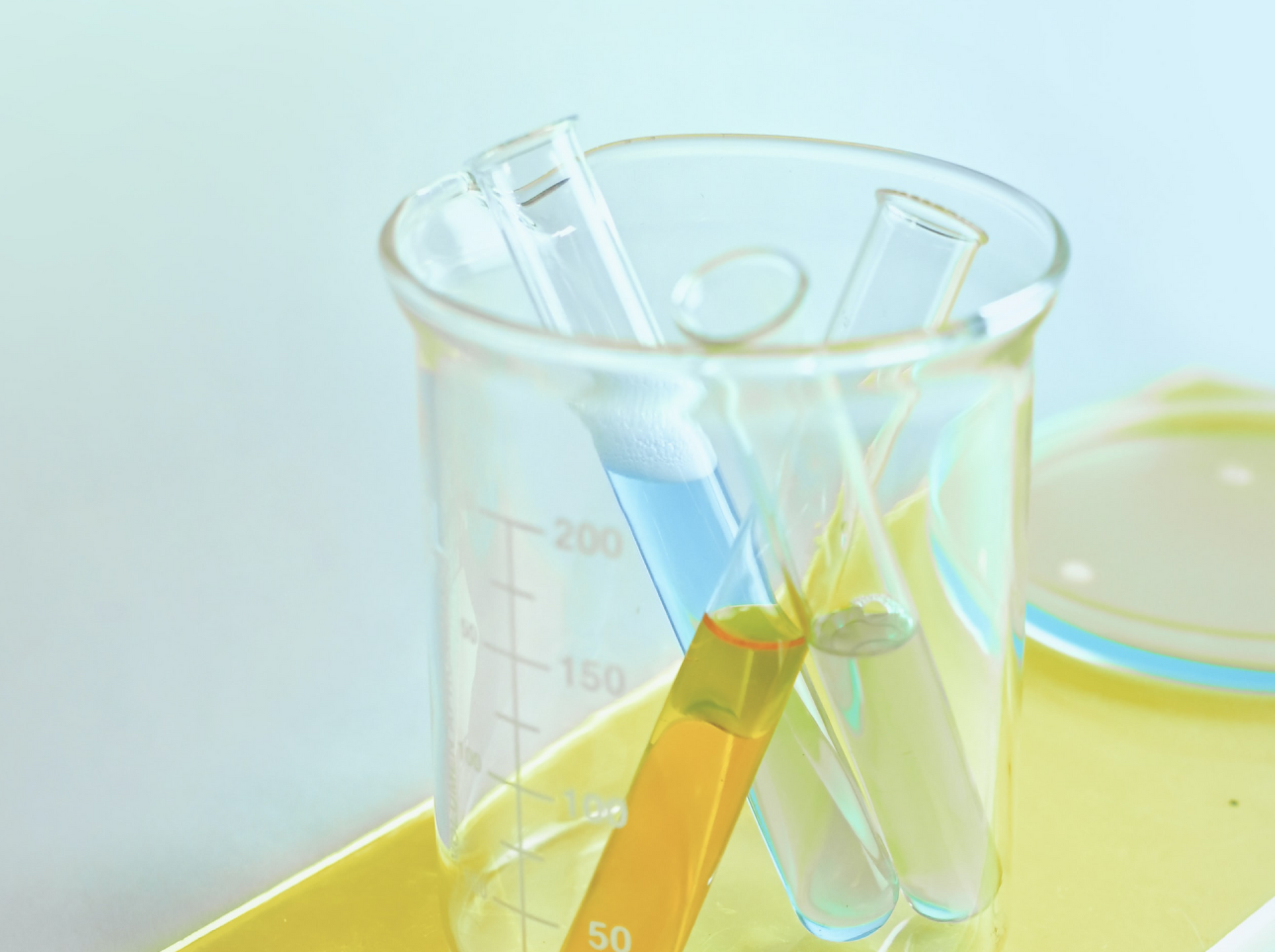 A Beginner's Guide to Clinical Research Terminology