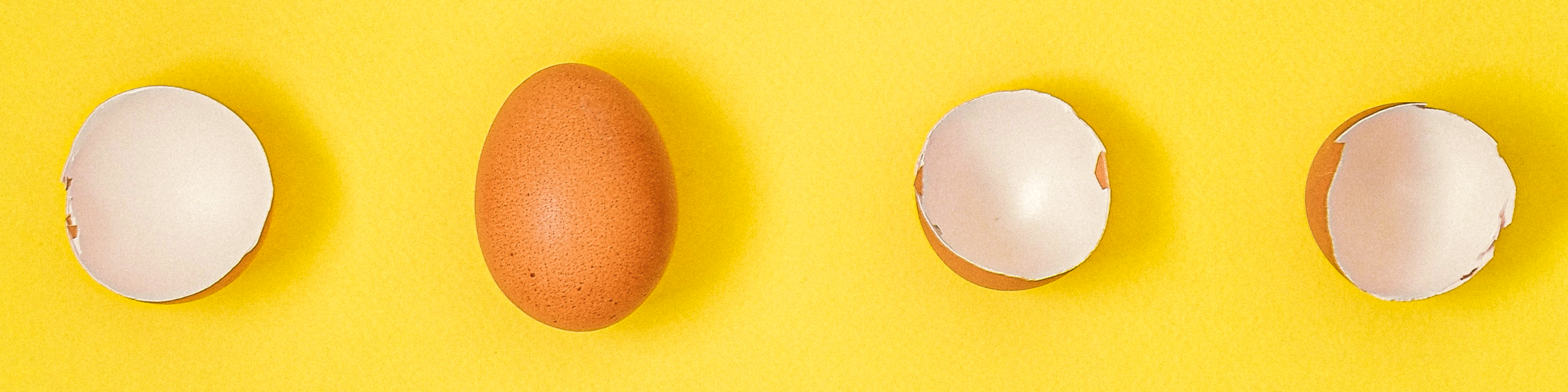 The Science Behind Getting Pregnant