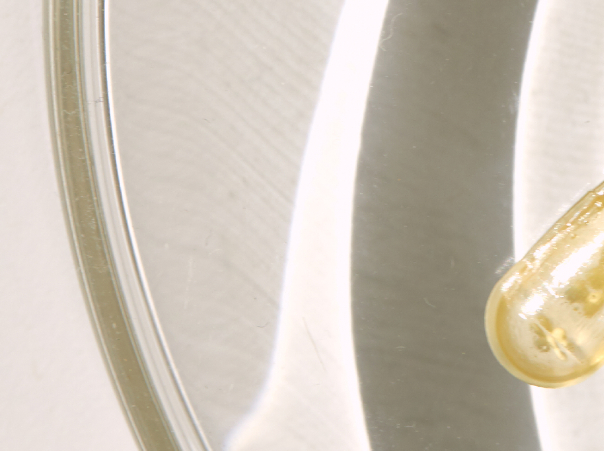 What Is Bioavailability? Here’s Why It’s So Important