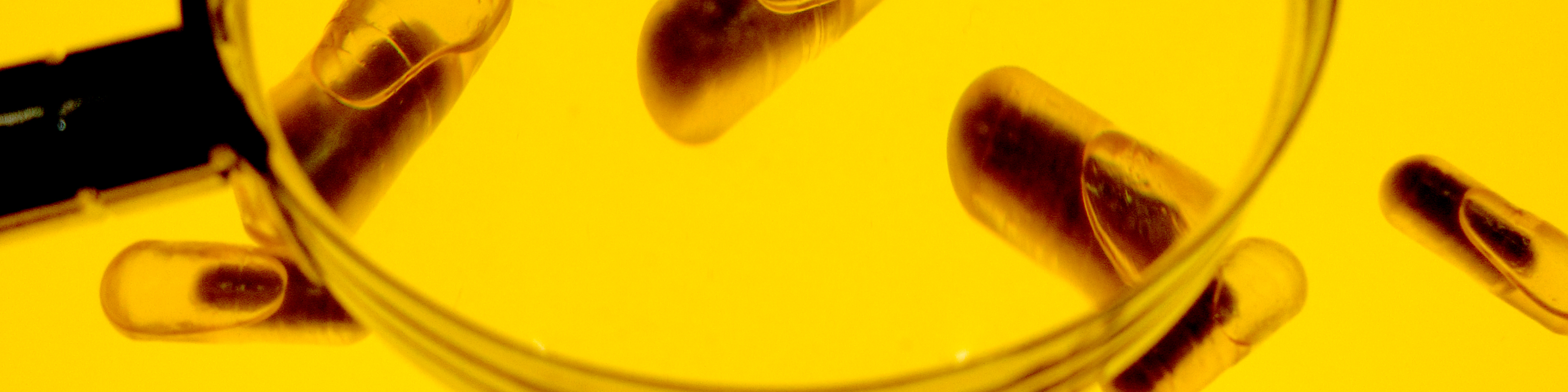 A Guide to Navigating “Clean” Supplements, Multivitamins & Protein Powders