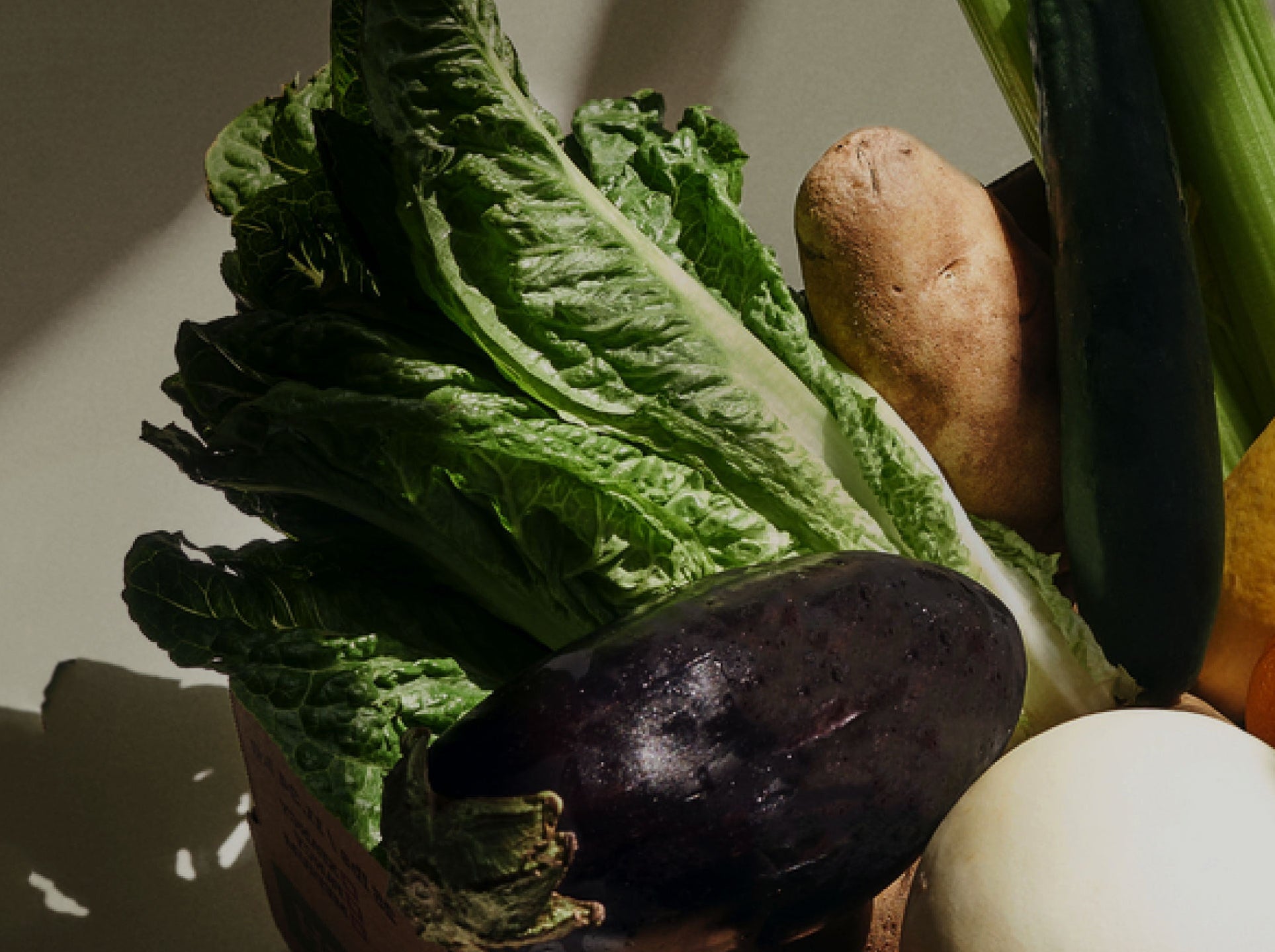 How We're Addressing Food Waste and Hunger with Food Forward
