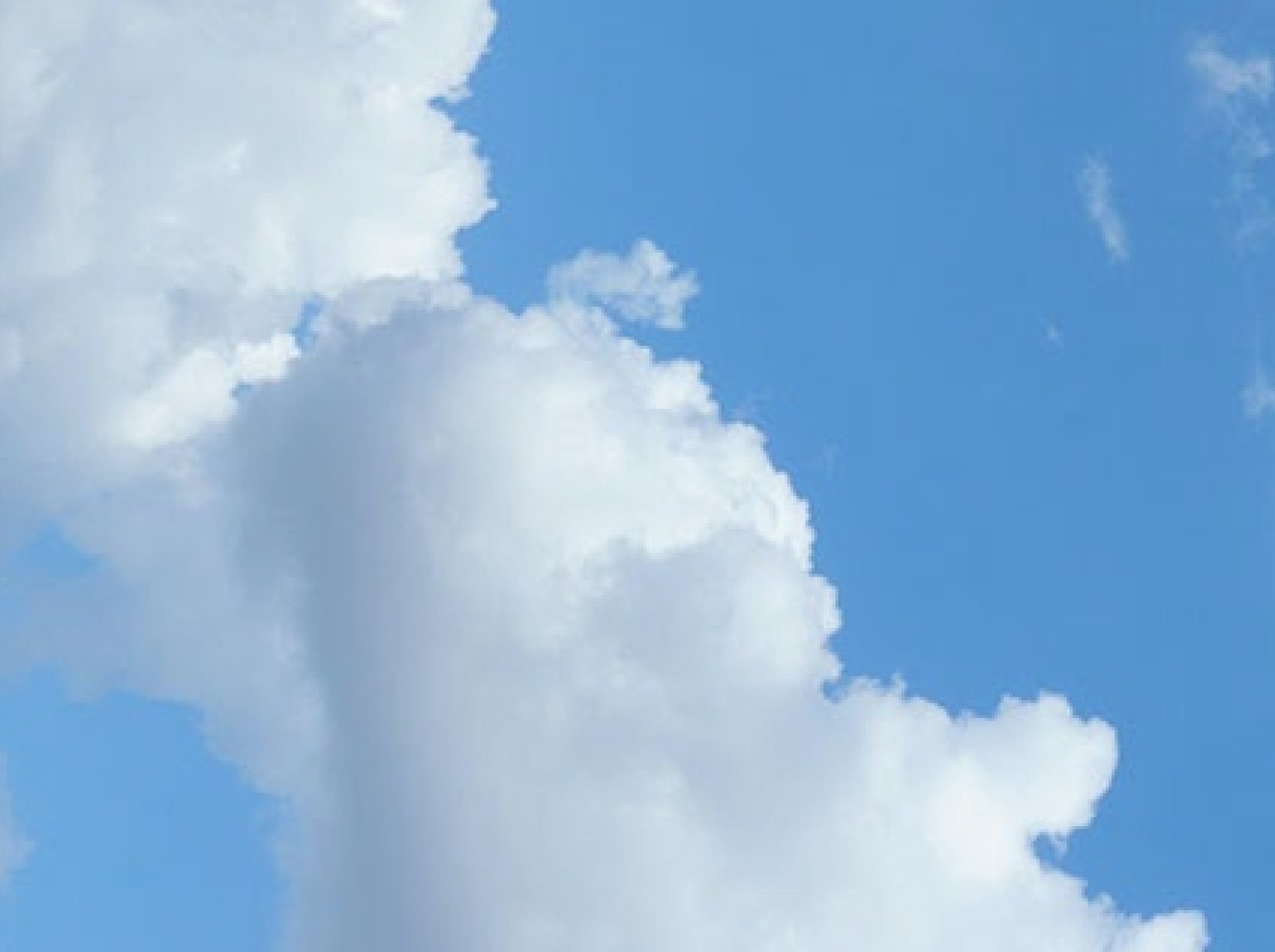 Behind Ritual's Goal to Have Net Zero Emissions by 2030