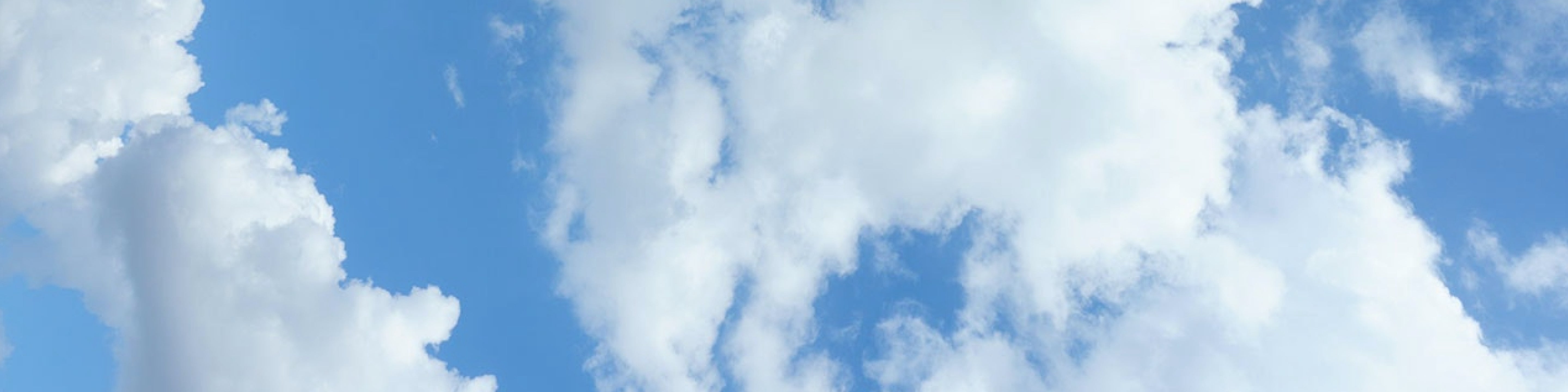 Behind Ritual's Goal to Have Net Zero Emissions by 2030