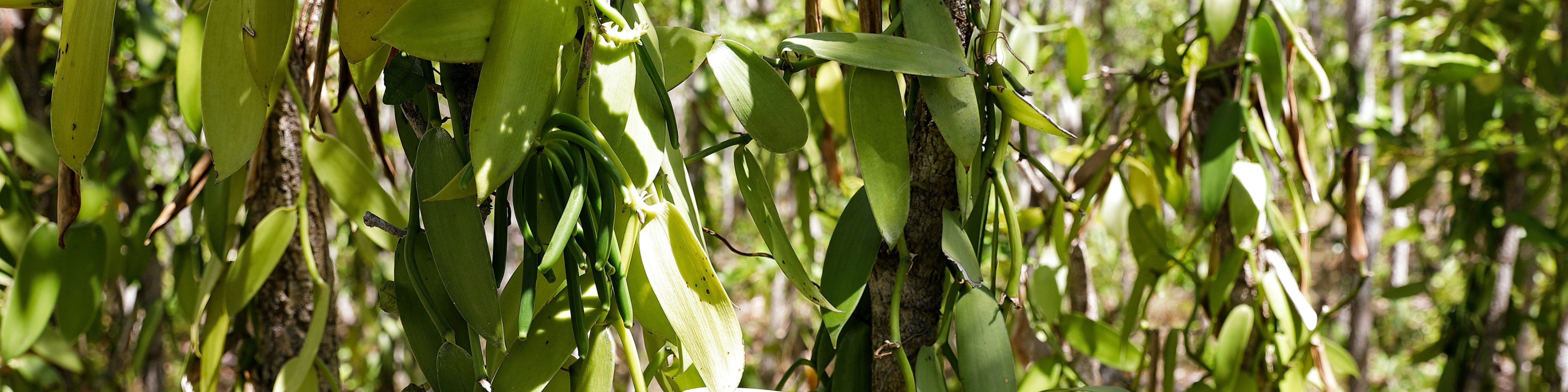 Working to Protect People in Our Traceable Supply Chain