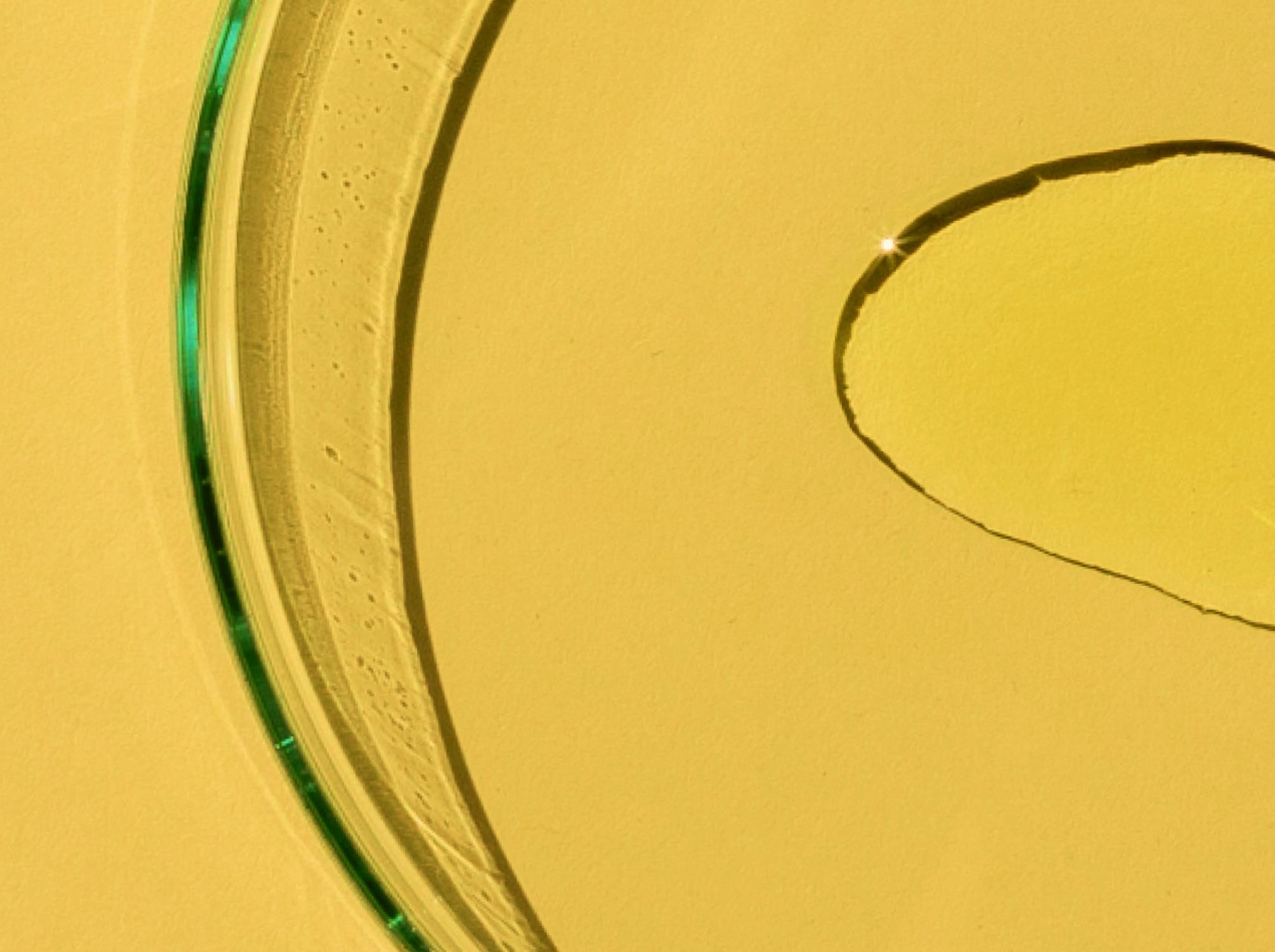 3 Supplement Bills Congress Is Debating Right Now