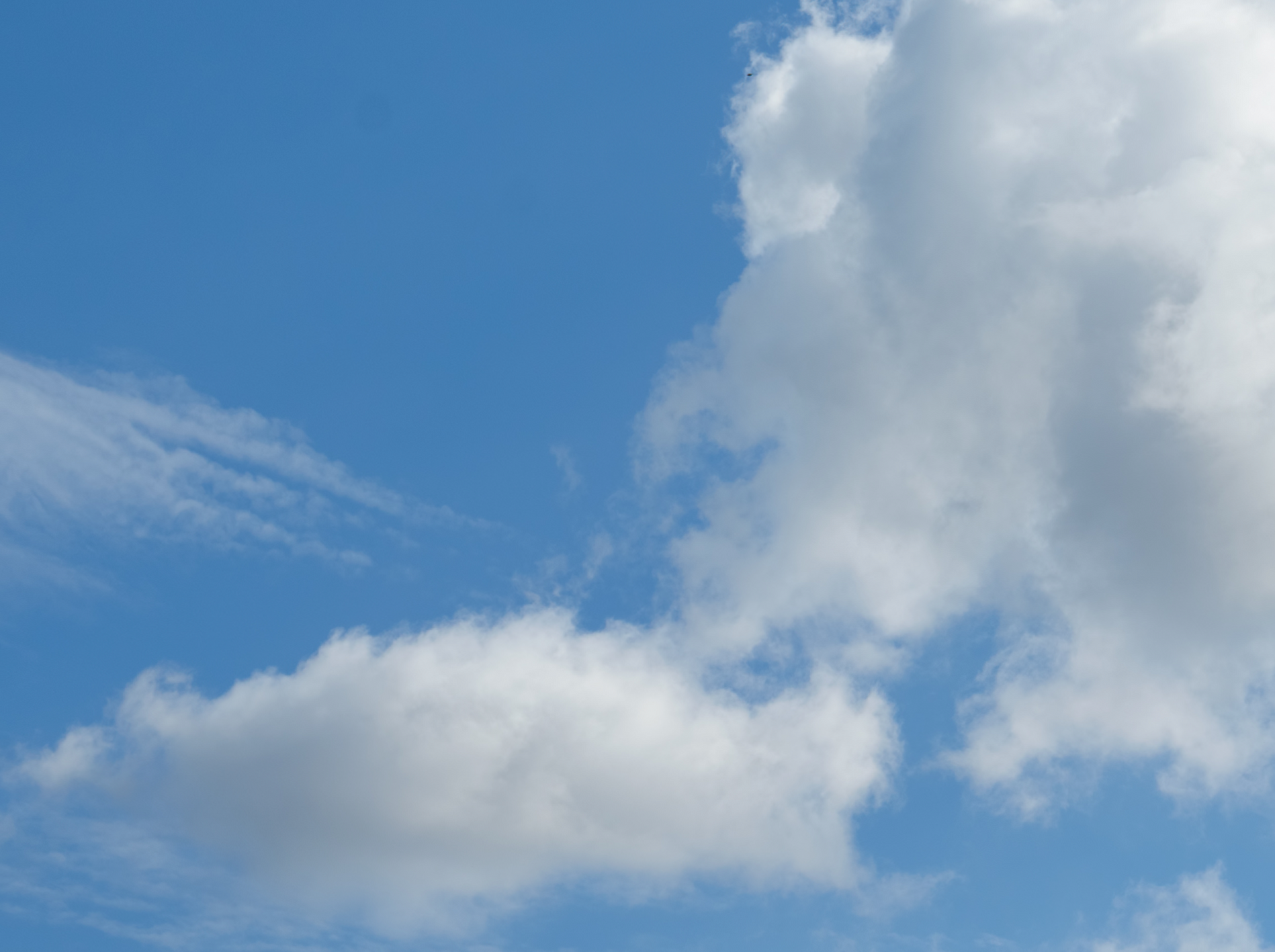 Carbon Offsetting Isn't Going To Solve Climate Change, Here Is Why Ritual Is Still Doing It