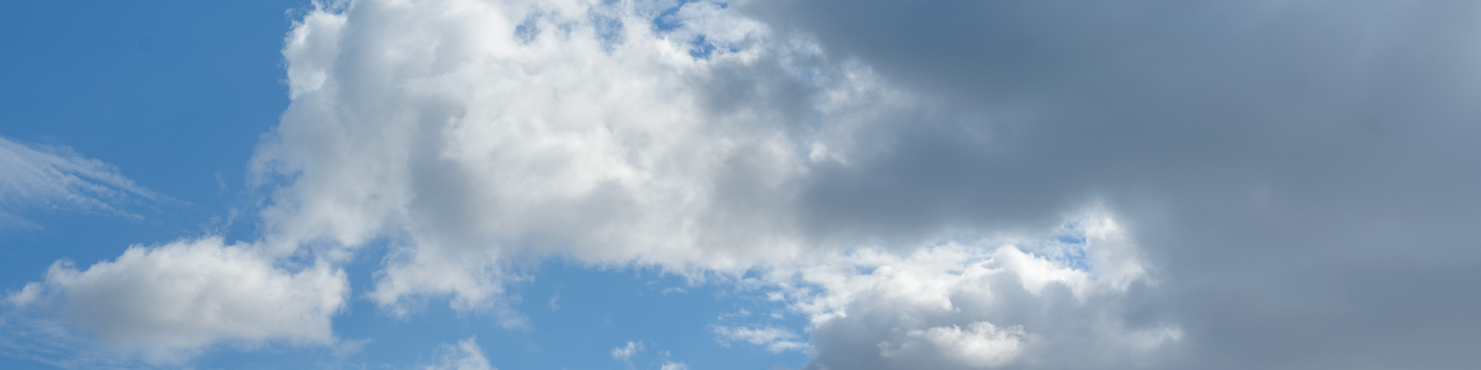 Carbon Offsetting Isn't Going To Solve Climate Change, Here Is Why Ritual Is Still Doing It