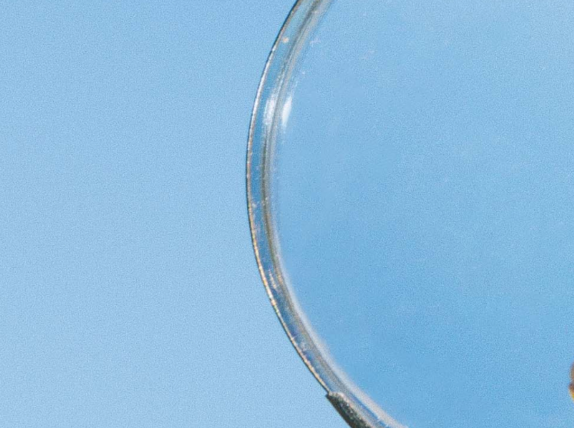How to Shop for a Science-Backed, Traceable, Clean Vitamin