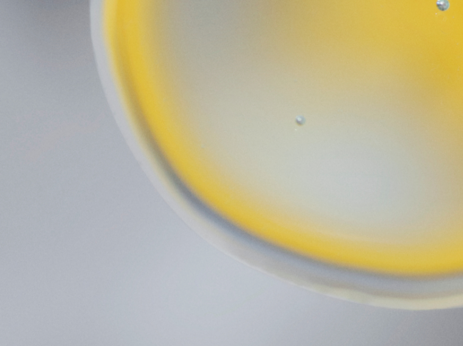 Meet CFUs (Colony Forming Units), Our Gut Health’s Best Allies*