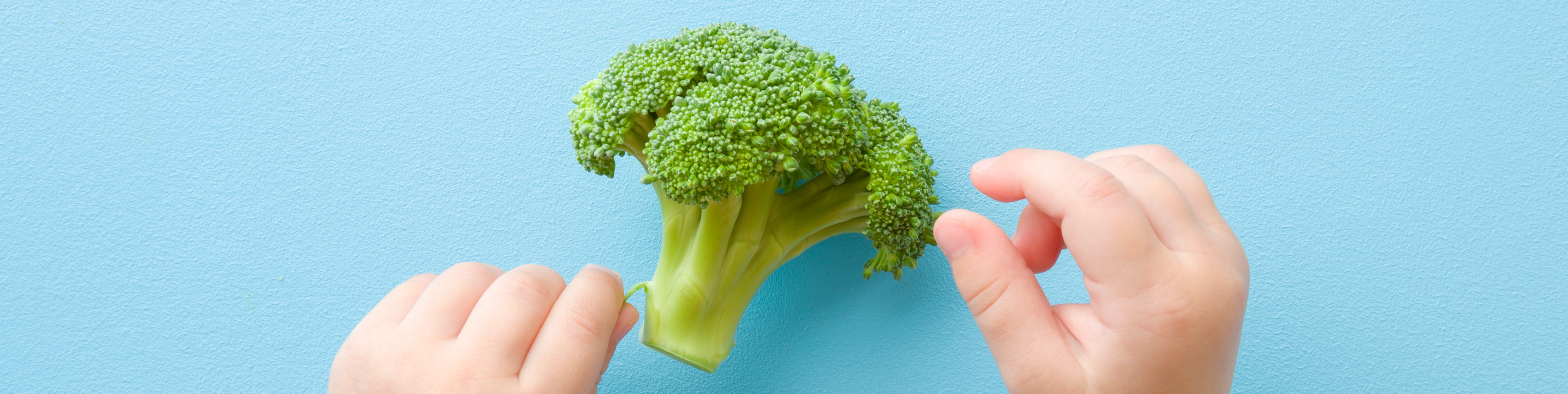 4 Toddler Food Ideas (They'll Actually Eat)