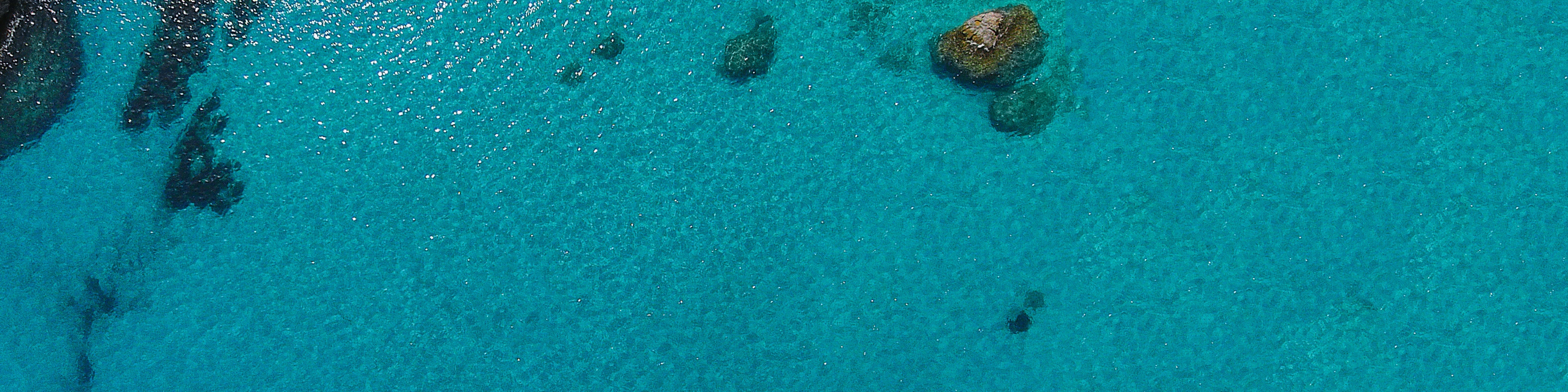 What We Can Learn from Blue Zones