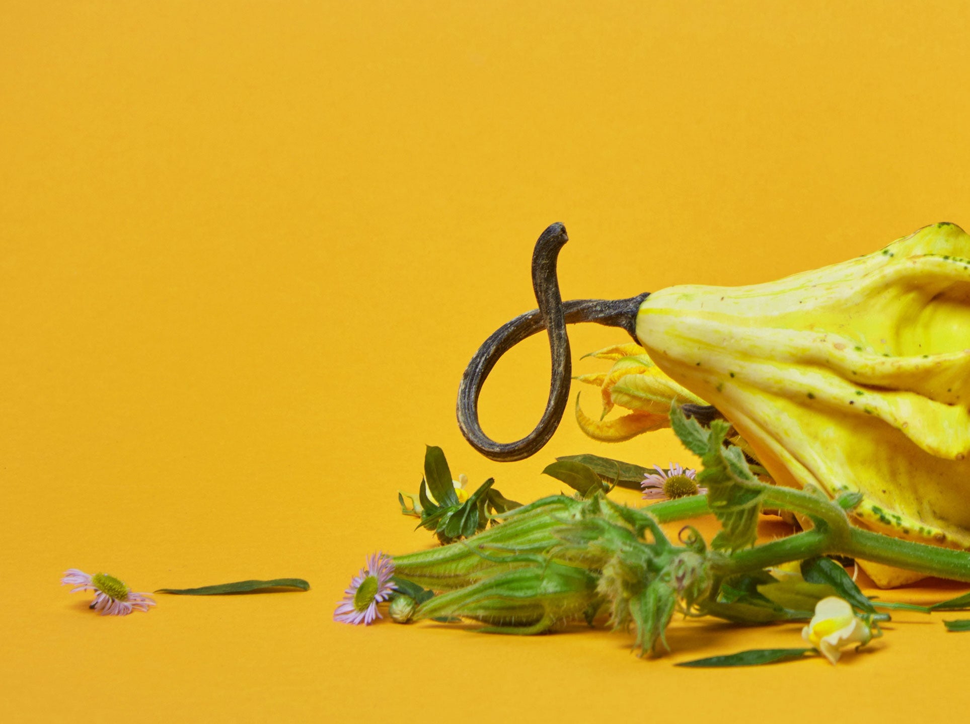 A Dietitian's Guide to a Healthy Thanksgiving