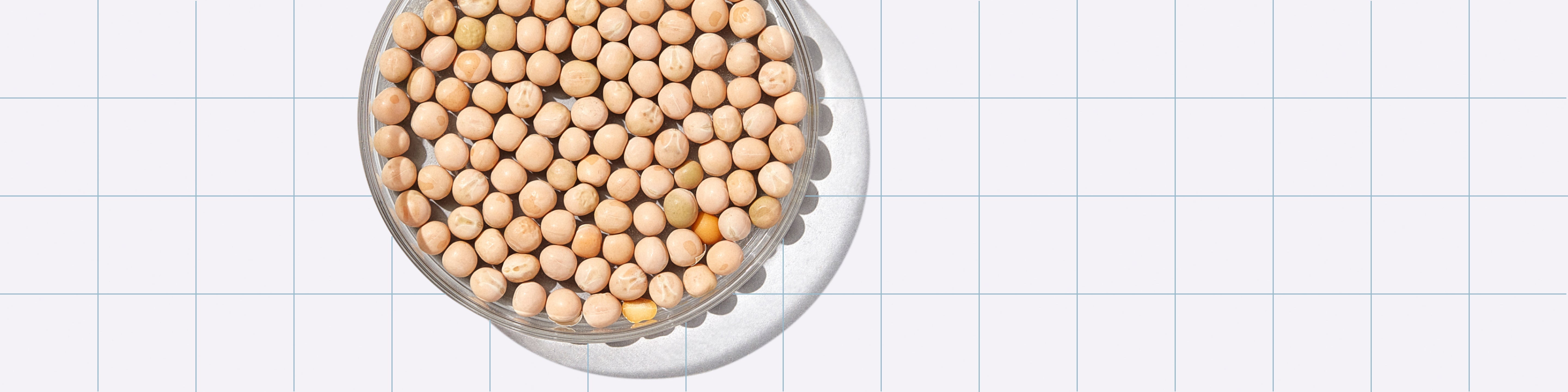 Behind the Scenes With PURIS, Our Pea Protein Manufacturer