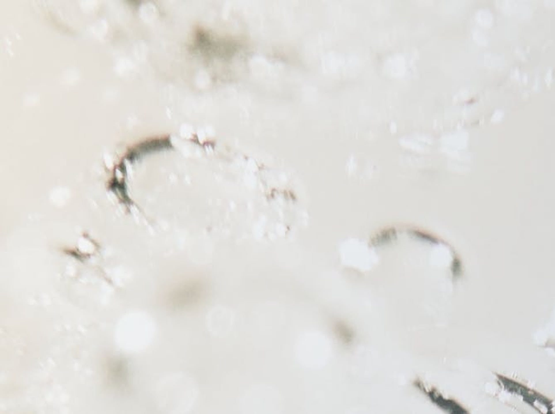 How To Support Your Gut Health the Right Way (Science Included)