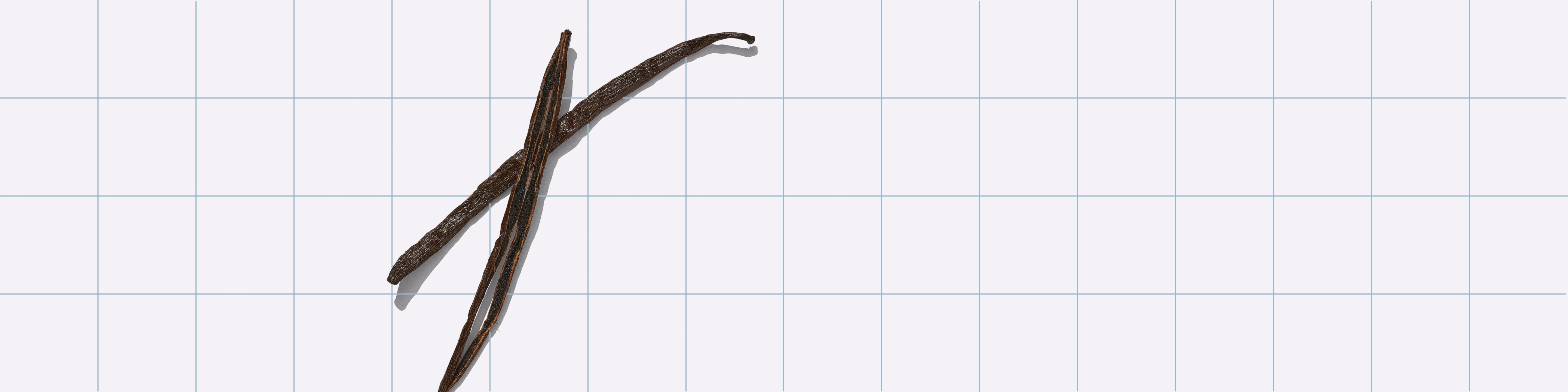 Meet Our Vanilla Flavor—And The People Behind It