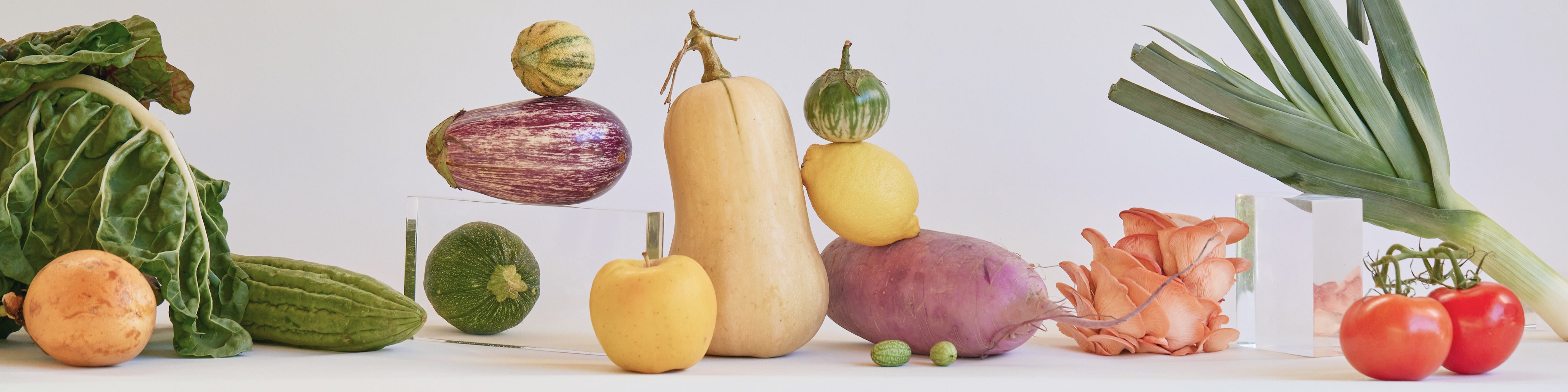 Nutrition Category Journal